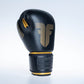 Gants de boxe Fighter Amateur - noirs, 1376-BXG