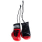 Gants de boxe Fighter Mini - rouges