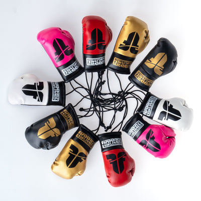 Gants de boxe Fighter Mini blanc - Fighter Sport