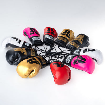 Gants de boxe Fighter Mini blanc - Fighter Sport
