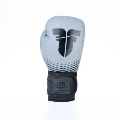 Gants de boxe Fighter SPLIT Stripes - gris/noir - Fighter Sport