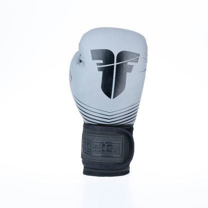 Gants de boxe Fighter SPLIT Stripes - gris/noir - Fighter Sport